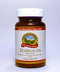 Эхинацея (Echinacea) 50 капсул - В нашем Интернет-магазине Вы можете купить Эхинацею (Echinacea) продукцию компании НСП (NSP)  с доставкой на дом по Москве и всей России: цены представлены на сайте Vitolife / Отзывы о продуктах NSP (НСП)
